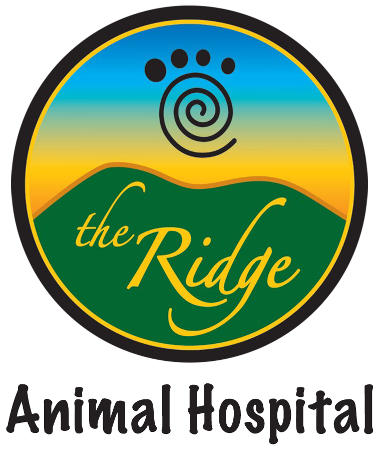 Ridge Animal Hospital